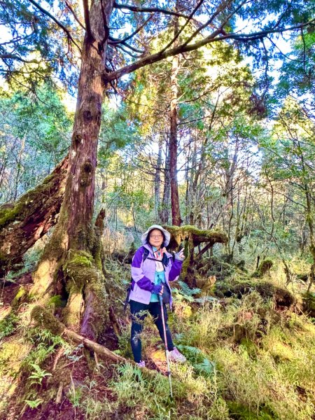 走入魔幻森林 探訪三星池與妹池2950158