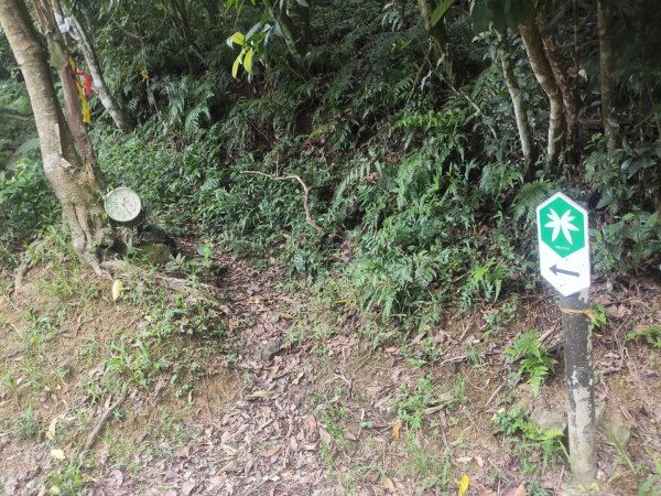 淡蘭北路第三段：澳底至石城車站、隆嶺古道3113608