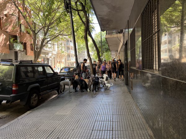 [紐約馬之行-54] 2025_1113~14 義大利廣場2953505