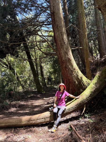 馬崙山 202509062889342