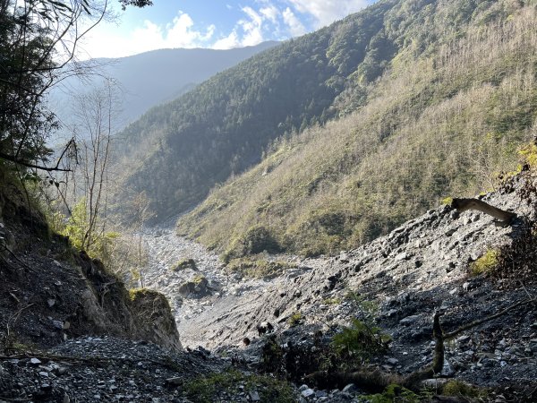 【駒盆西稜上馬博下嘆息灣D6】玉林橋、中平林道2444738