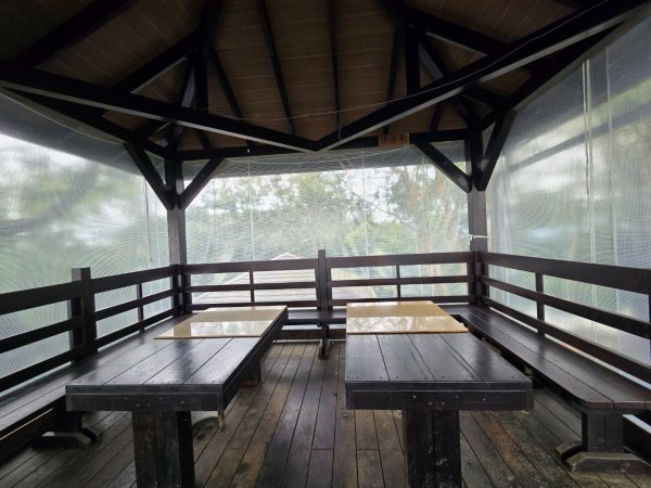 台中大坑4號登山步道2751093