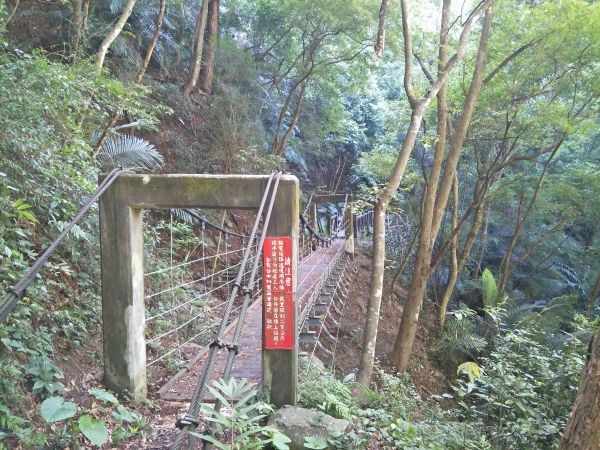 東卯山東南稜串德芙蘭步道364262