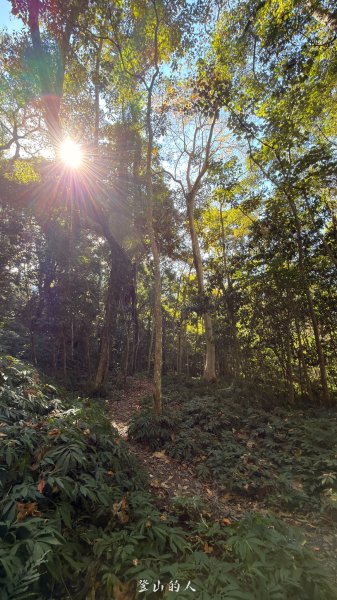 雪山坑環線步道2988761