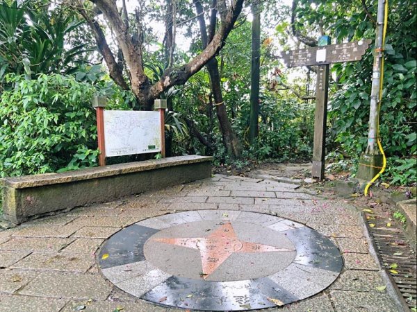 2021臺北大縱走第六段1559620