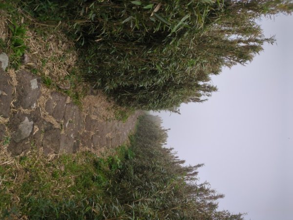 第二段：二子坪→小油坑2759595