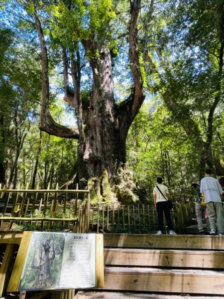 1140825司馬庫斯新巨木園區-司立富瀑布-部落觀景台2871195