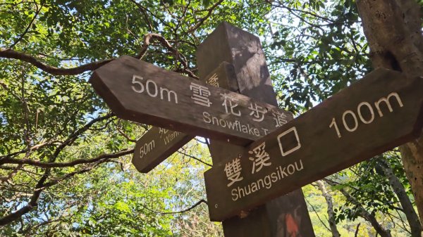 20251215林口森林步道+太平嶺海濱步道2969381