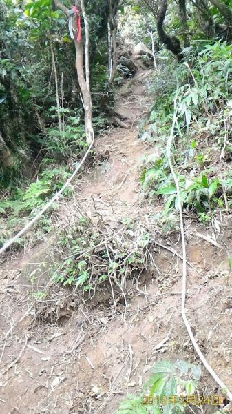 雪山尾稜大縱走~全長23公里294889