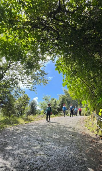 羊彎上武岫大崙山茶園尋山頭2825507