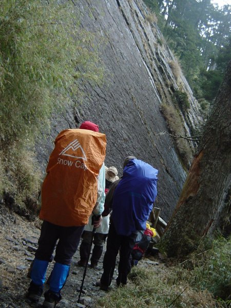 玉山暨阿里山之旅200806091954491