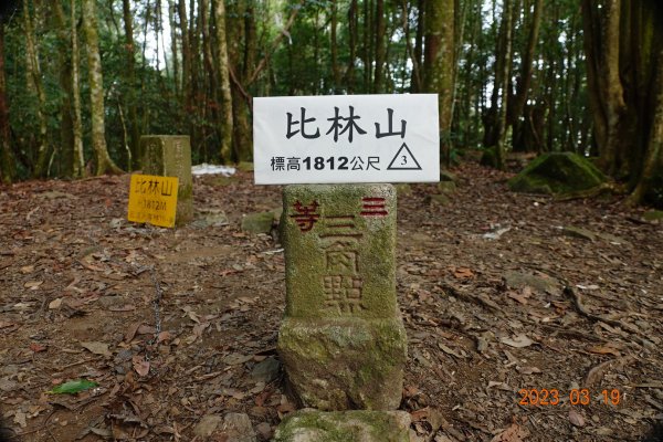 新竹 五峰 比林山、大窩山、鳥嘴山