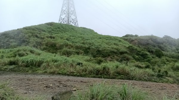 瑞芳區金瓜石地質公園-大粗坑古道(大粗坑山+小金瓜露頭)-樹梅坪-百二崁古道-金瓜石地質公園步道O型3055288