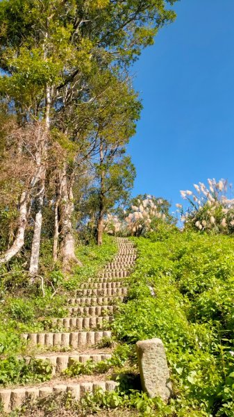 關刀山2658584