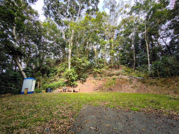 2026-02-08 藤枝山2998437