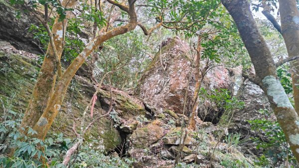 衣丁山單攻初體驗2025年3月30日2749815