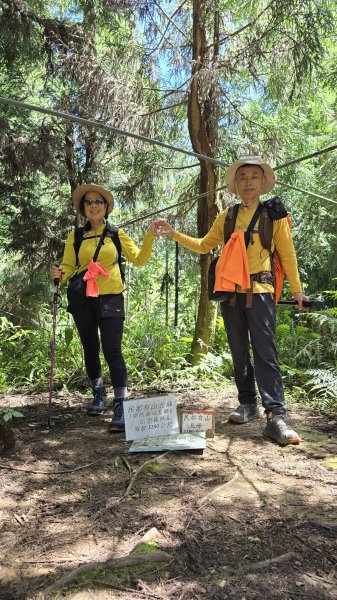 民都有山，夏日首選，好涼爽的中級山，新竹熱門登山景點，時而陽光穿林，時而濃霧彌漫，非常迷人。2827241