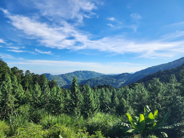 新竹橫山｜油羅山3076791