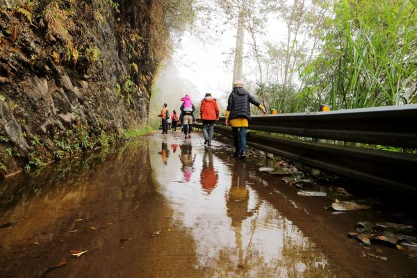 當白雲飄進山谷~武界原鄉之旅222365