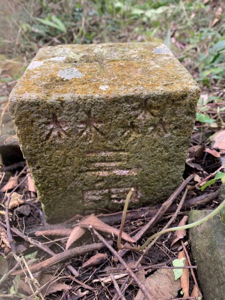 20250120高雄三縣界山-河表湖山-拉比嶺山-玉打山2697471