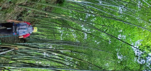 橫沙迪O型縱走_大雪山社區登山口2826536