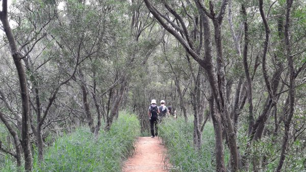 《台中》颱風前夕｜大肚環保公園登山步道(北段)202409292606724