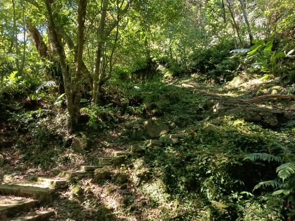 汐止區白雲古道+白雲寺O型2911962