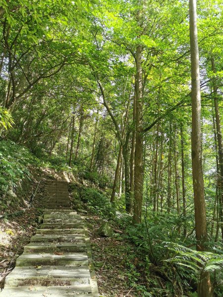 獅頭山風景區 - 漫步參山步道1023023