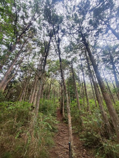 南湖群峰五天四夜2871881