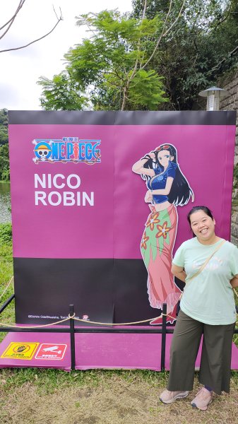 新竹航海王2938924