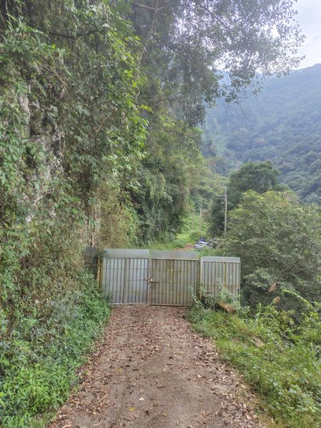 多納六秀 京大山2957612