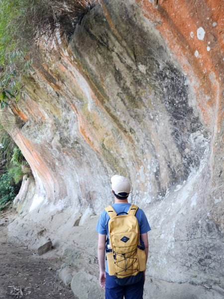小百岳No.19⛰福德坑山(鳶山)2739697