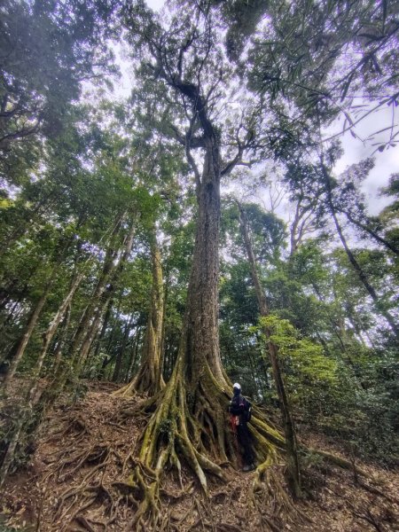 長壽山、肥崠山、醜崠山、大崠山、大崠山經建版2931563