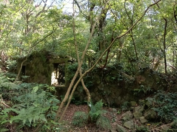 北投區清天宮步道+面天山+向天山+向天池+興福寮步道+頂青礐古道P字走2960032