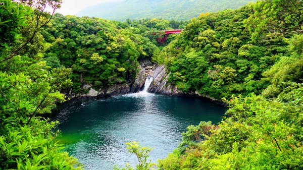 南九州－屋久島千尋瀑布,托羅奇瀑布3063712