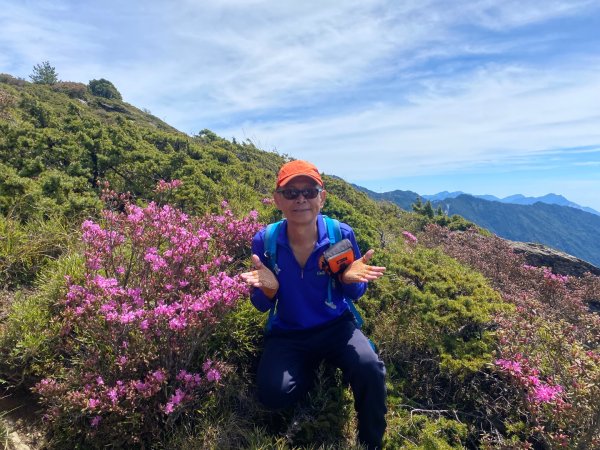合歡山七連峰的空中花園賞花趣3073103