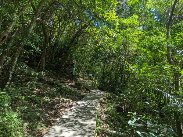 大溝溪生態治水園區。龍船岩。大崙頭山(小百岳)。圓覺瀑布1750675