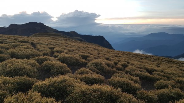 奇萊南峰 南華山1359736