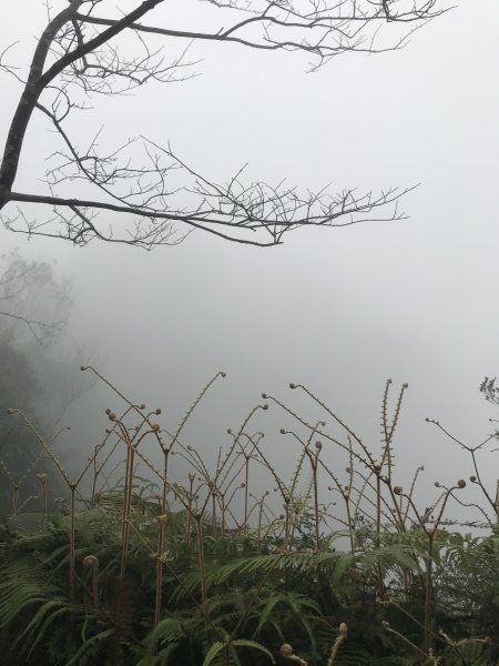 上坪山經五指山由大隘山下觀音寺1291208