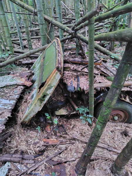 長壽山、肥崠山、醜崠山、大崠山、大崠山經建版2931541