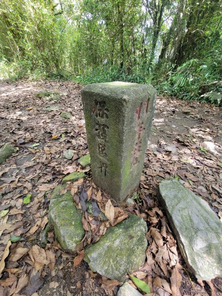 【瑪家五連峰緃走】白賓山緃走笠頂山1746094