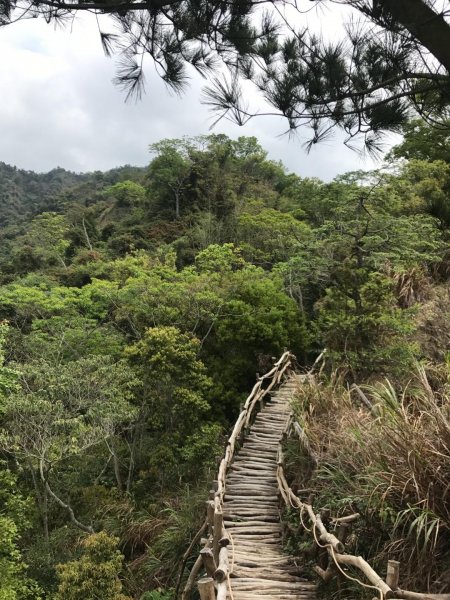 頭嵙山攻頂577438