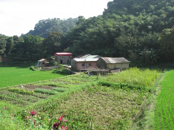 深坑向天湖古道1957672
