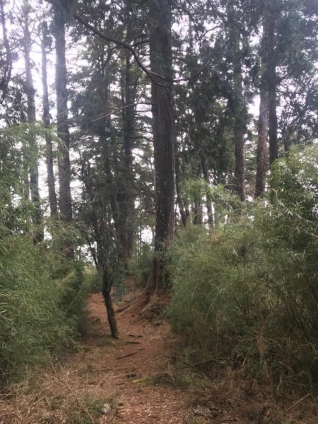 大雪山林道船型山鞍馬山537487