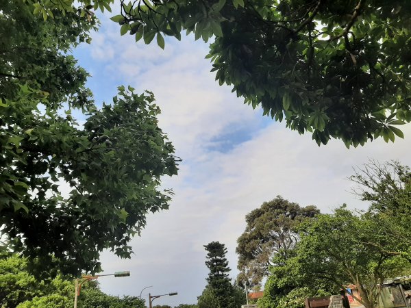 110 年春 登七星山1345719