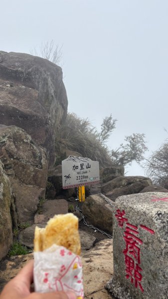 加里山3042808