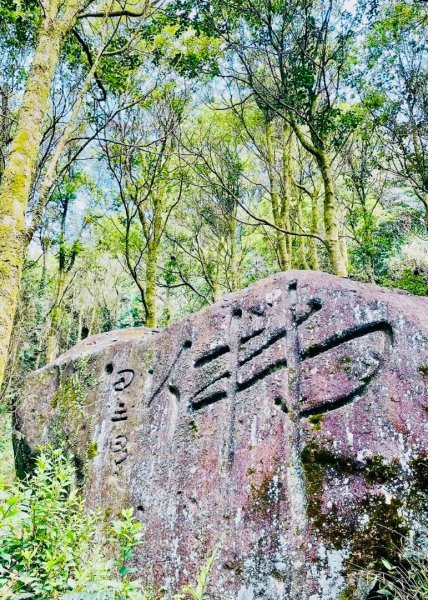 內寮古道石雕秘境寫真+陽明山16草原2499691