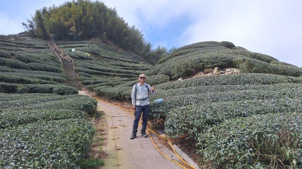 雲嘉大尖山(挑筍古道上)11502093045232