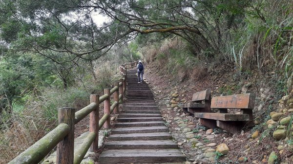 《台中》新春減肥｜龍井竹坑南寮登山步道202202121608742