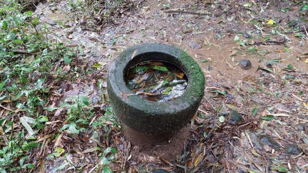 陽明山後花園，百年靜美牧牛山徑，古道草原精華連走2787725